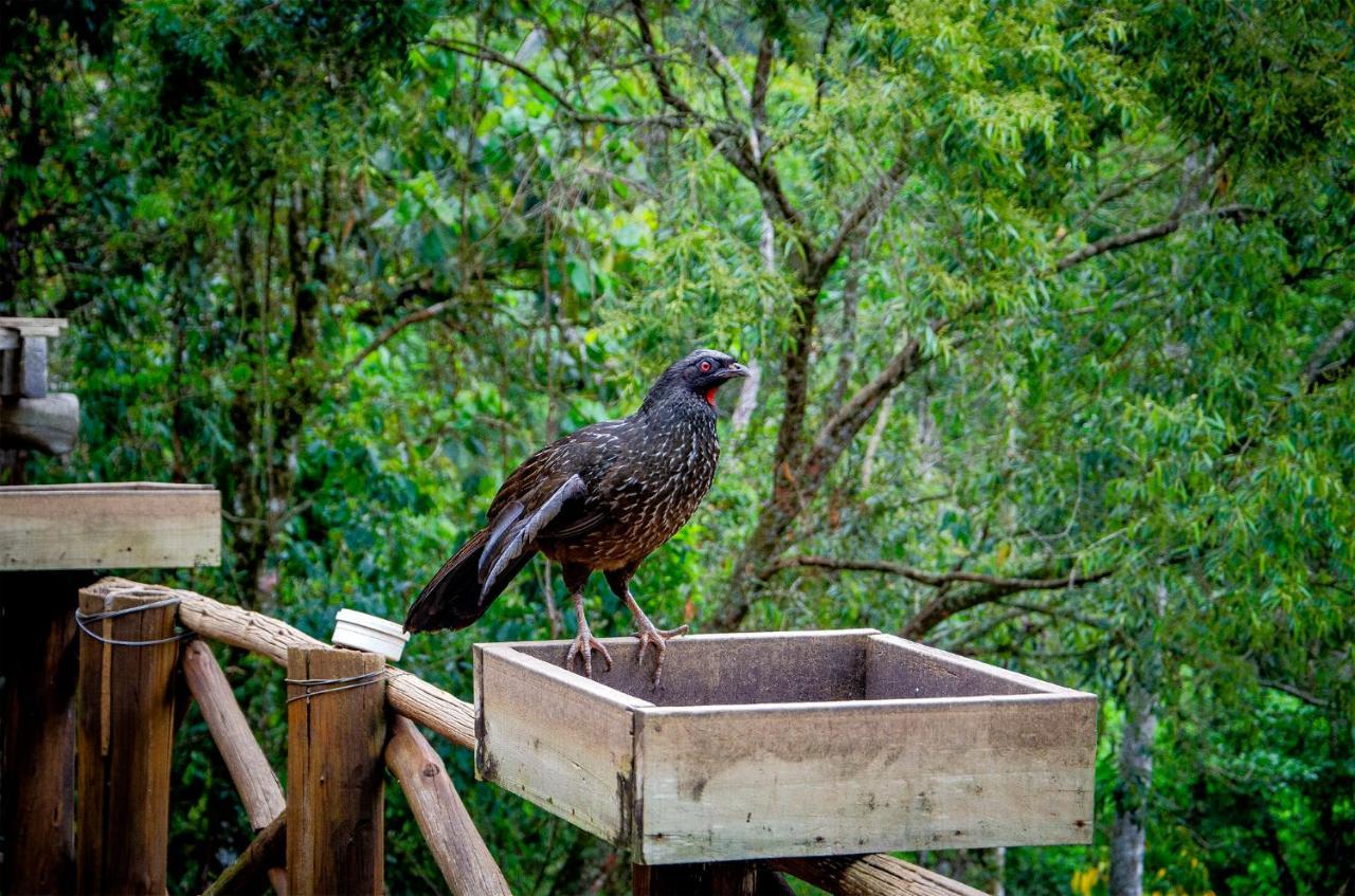 Pousada Rancho Das Framboesas Visconde De Mauá Buitenkant foto